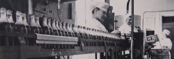 1970s. Launch of blood substitutes production